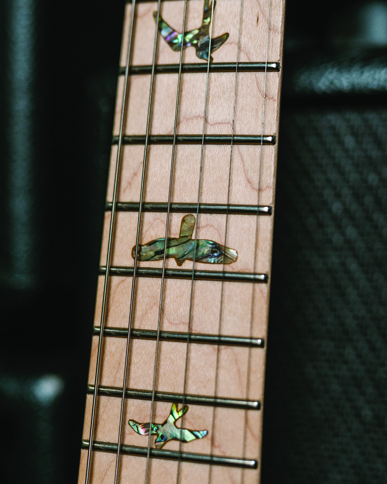 The fretboard of the PRS SE Swamp Ash Special
