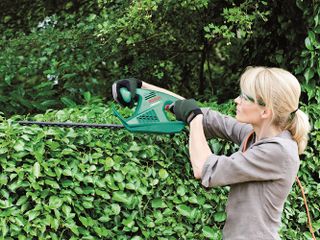 Best hedge trimmers