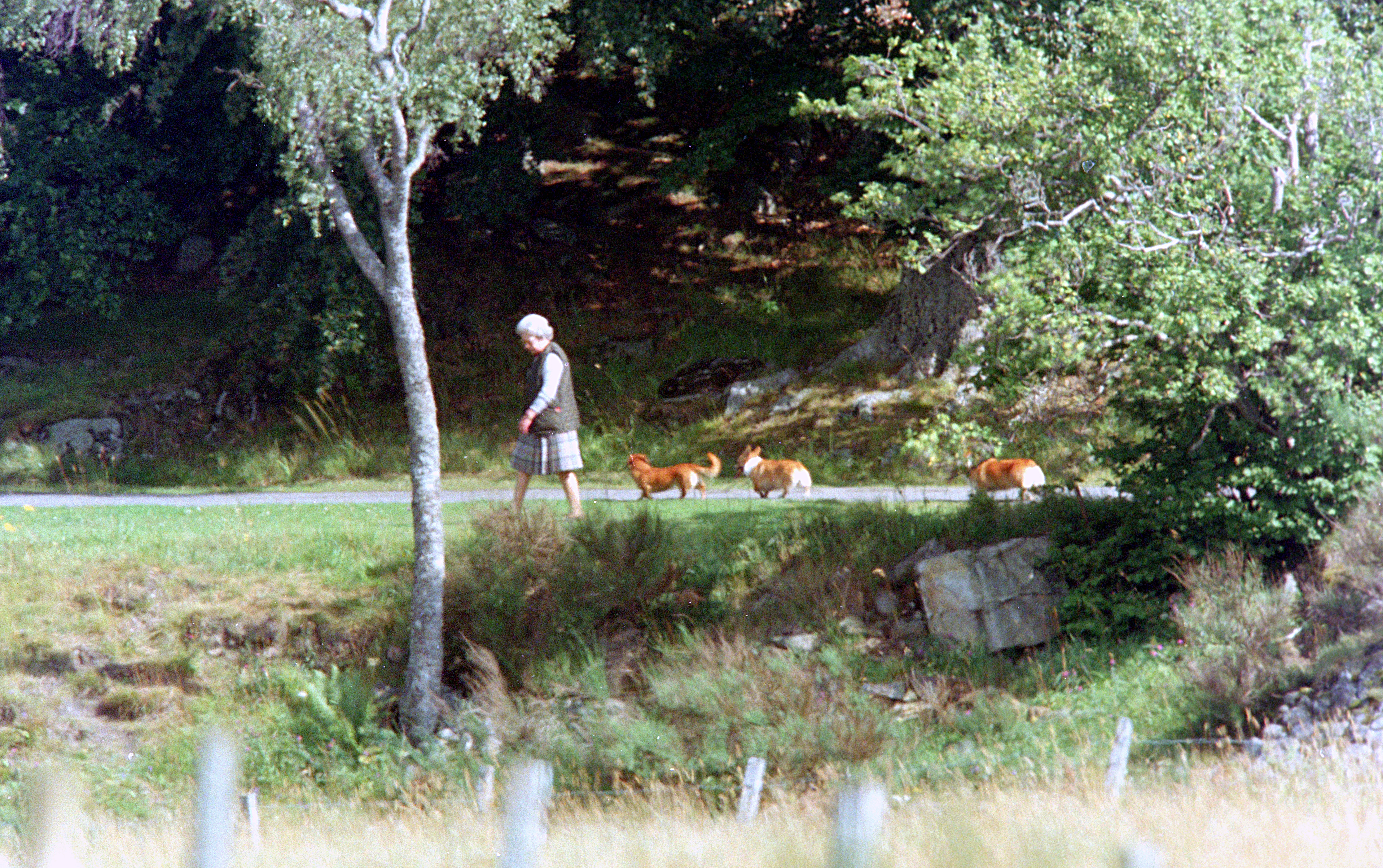 Queen Elizabeth walking corgis at Balmoral