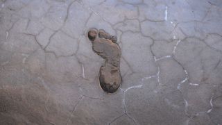 A footprint