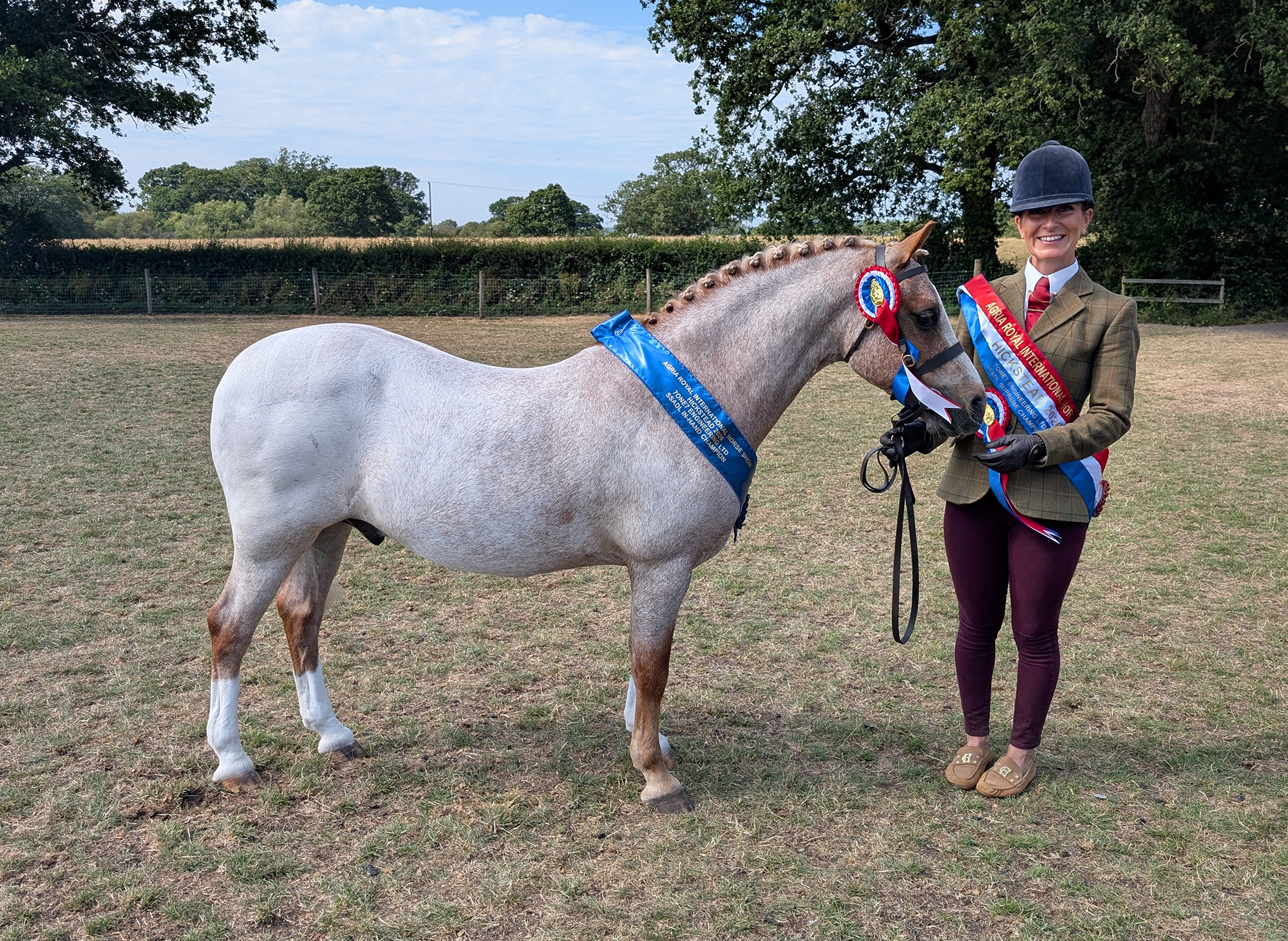 A chestnut roan pony in-hand with blue winner&amp;rsquo;s sash with handler wearing tweed with a tricolour supreme champion sash