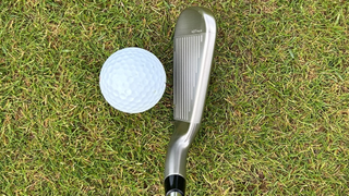 Photo of the Cobra DS-ADAPT 6 iron