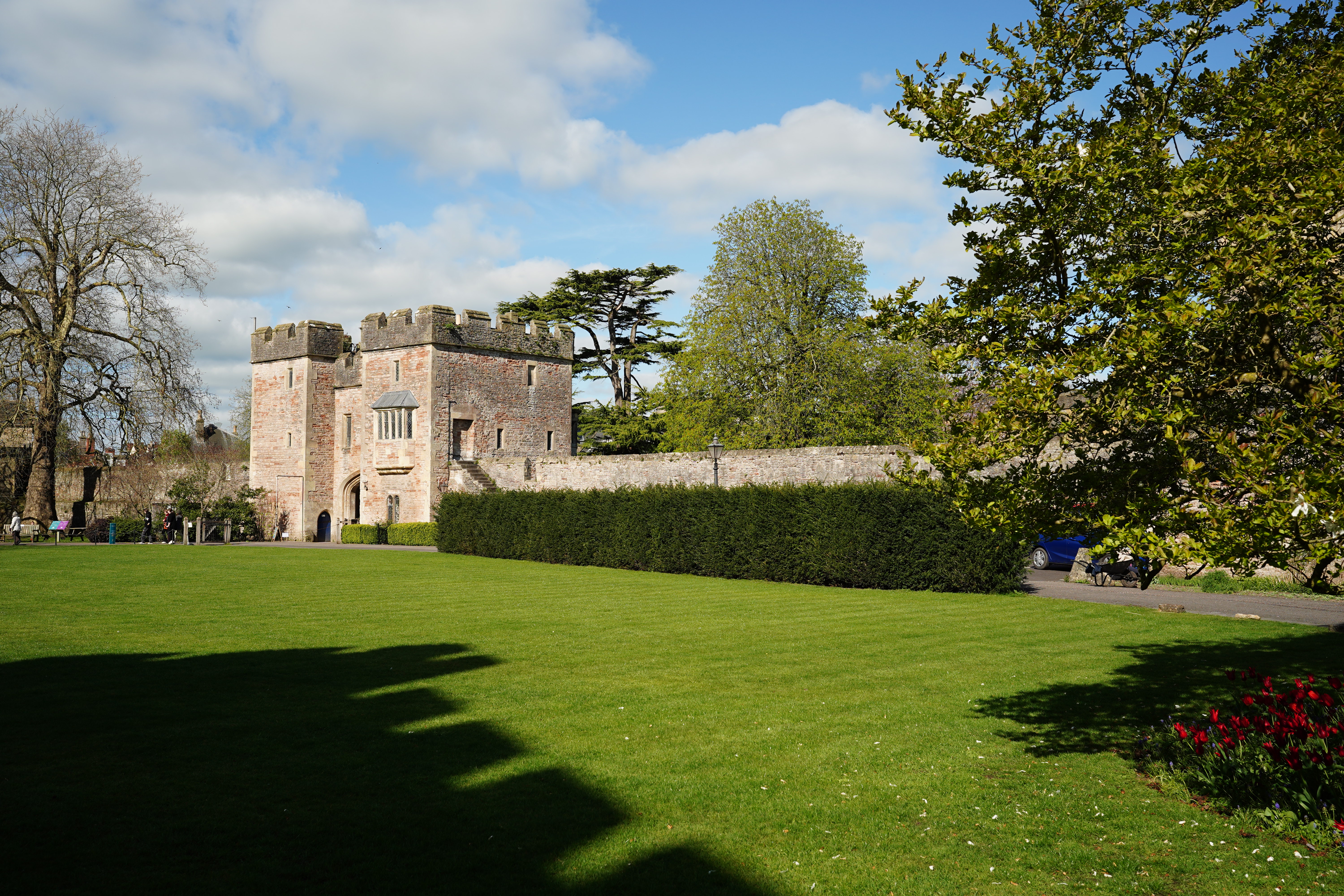 Sigma 35mm f/1.2 DG II Art sample image