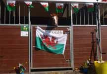 stables1.jpg