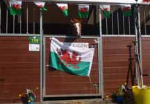 stables1.jpg
