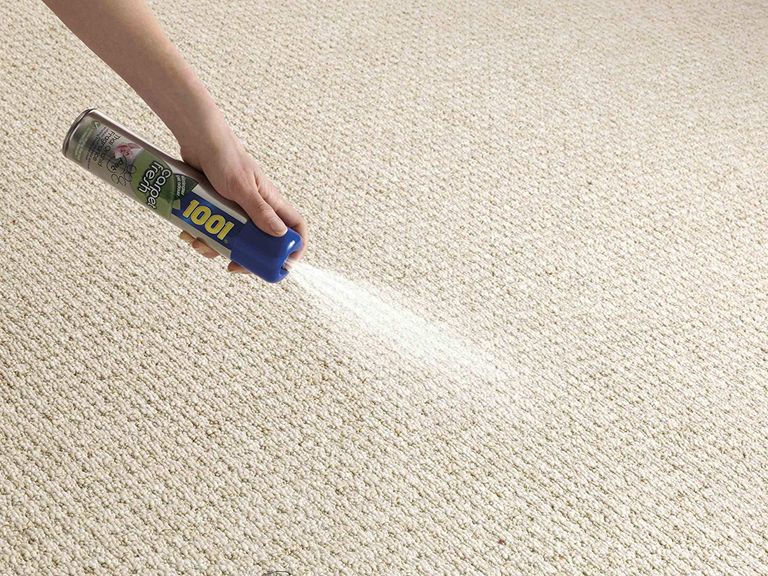 The best carpet cleaning products