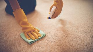 person cleaning carpet with a spray bottle and a microfiber cloth, with gloves