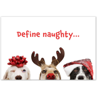 Naughty Dog Christmas Cards