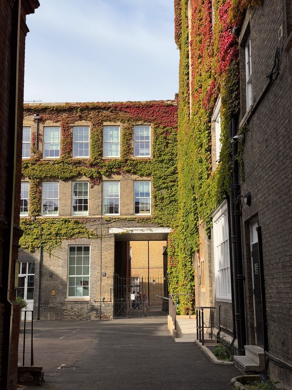Quiet courtyard surrounded by brick buildings covered in green and red ivy, with sunlight illuminating the far wall.