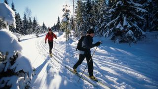 Two people Cross-Country Skiing 