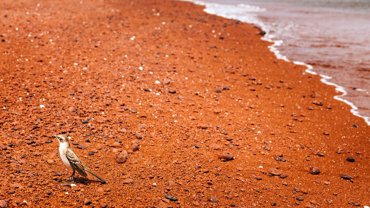 Galapagos Islands cruise on Santa Cruz II