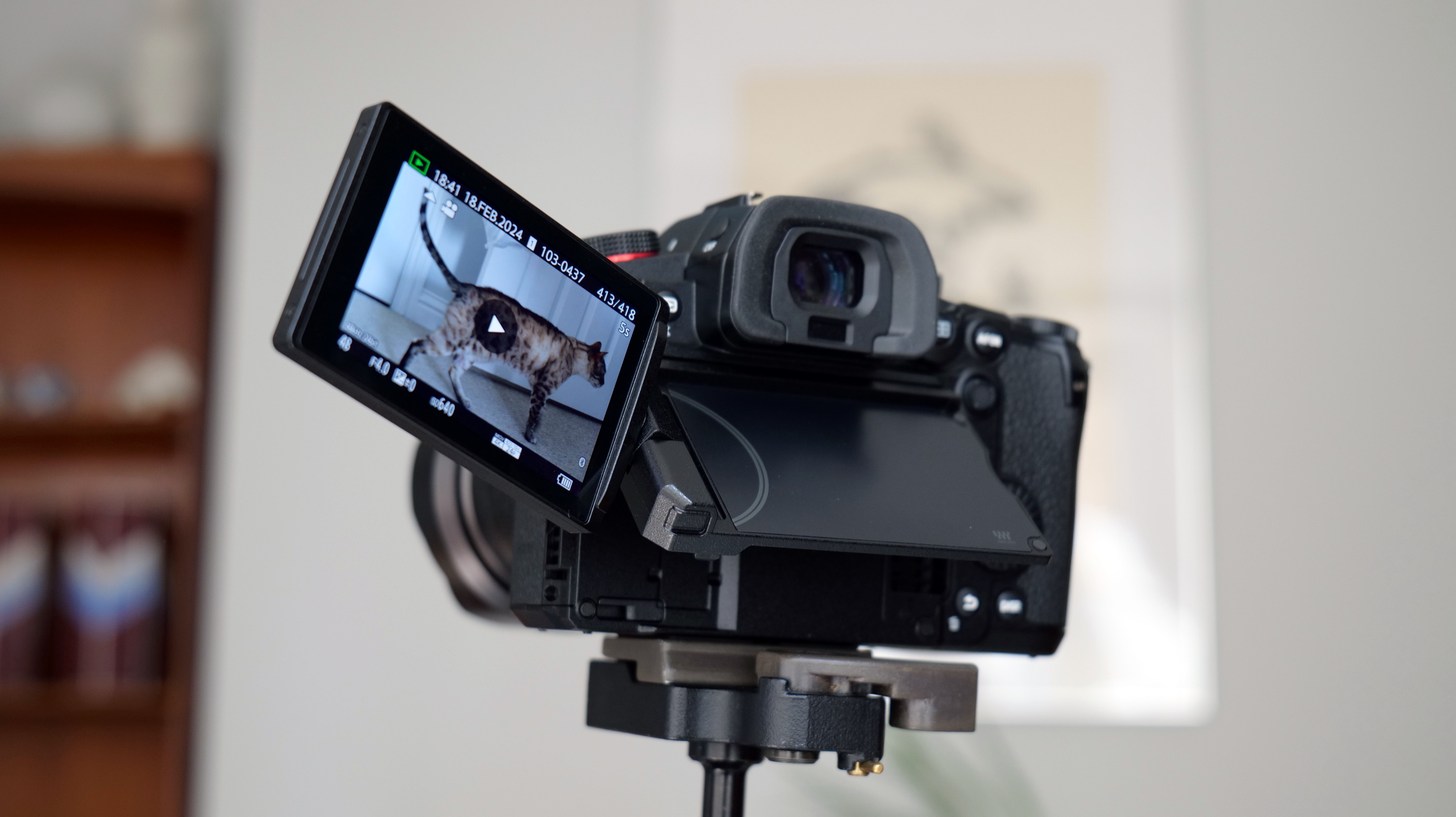 Panasonic Lumix GH7 camera rear screen pulled out and tilted