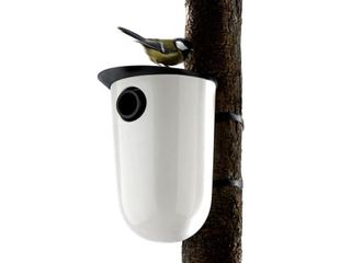 Bird Box