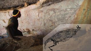 Traditional owner Ian Waina inspects a painting of a kangaroo that is more than 12,700 years old, based on the age of overlying mud wasp nests. Inset: an illustration of the rock painting just above it.