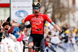 BAZA SPAIN FEBRUARY 19 Wouter Poels of Netherlands and Team Bahrain Victorious celebrates winning during the 68th Vuelta A Andalucia Ruta Del Sol 2022 Stage 4 a 167km stage from Cllar Vega to Baza 836m 68RdS on February 19 2022 in Baza Spain Photo by Bas CzerwinskiGetty Images