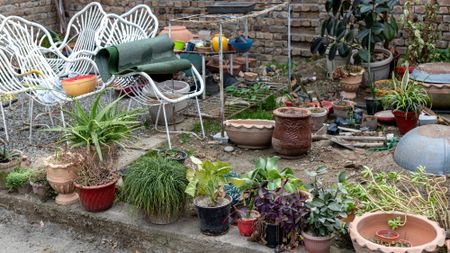 messy and cluttered backyard