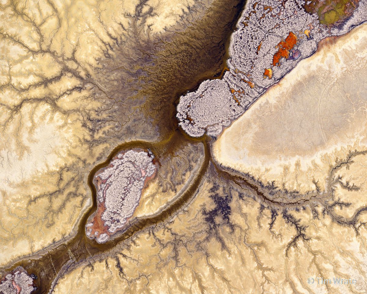 Australian Geographic Nature Photographer of the Year 2021