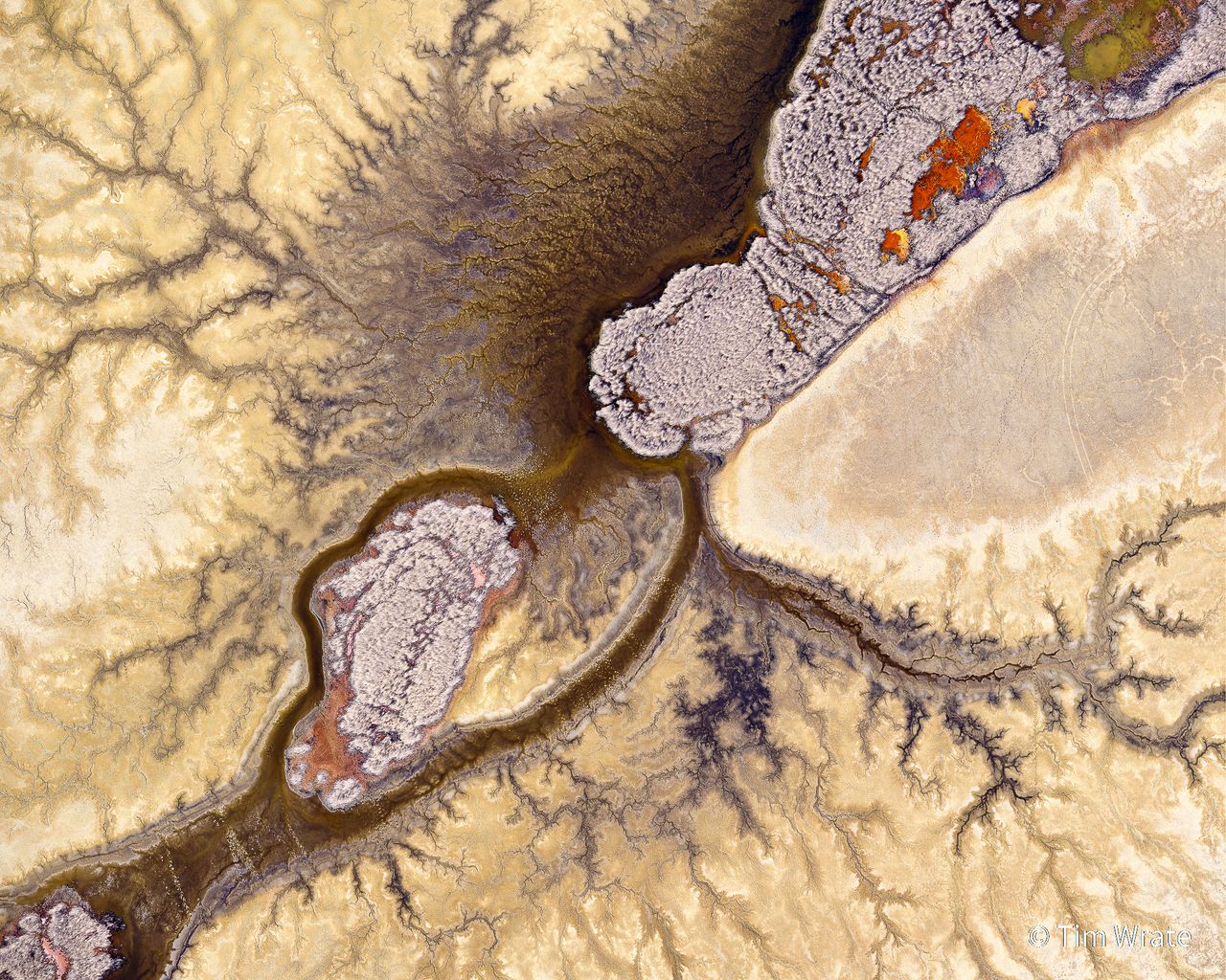 Australian Geographic Nature Photographer of the Year 2021