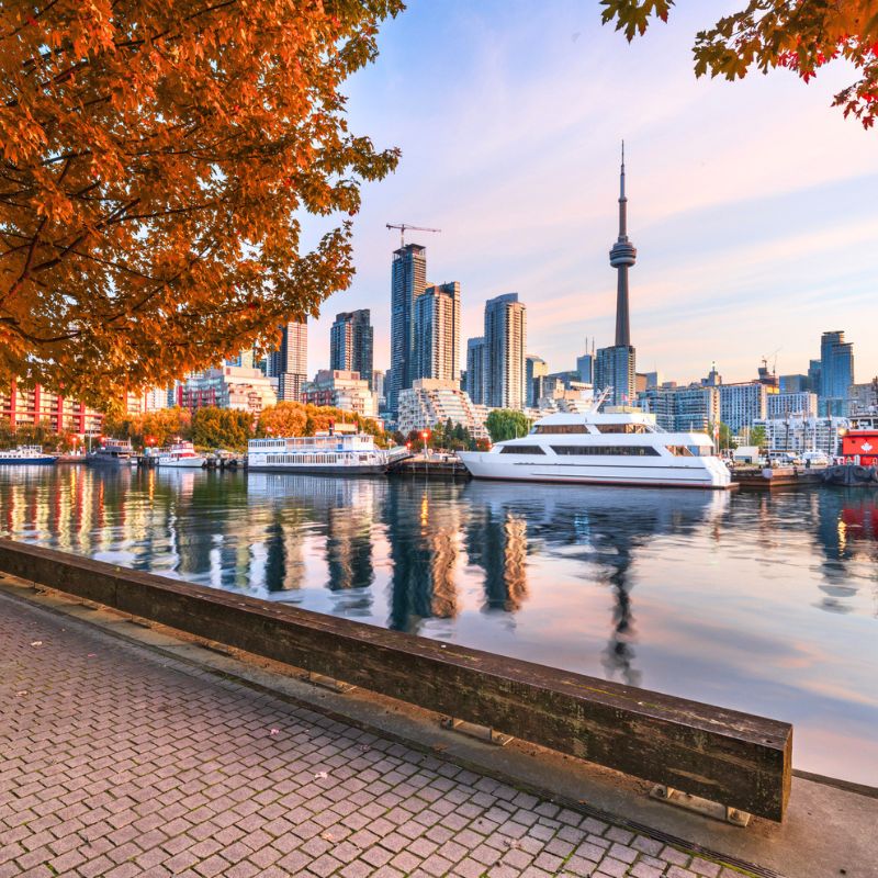 View of CN tower from marina