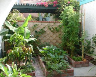 Brick raised garden beds in a jungle-themed garden