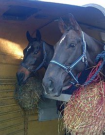 Denman-trailer.jpeg