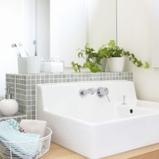 A pot of ivy sits on a bathroom sink