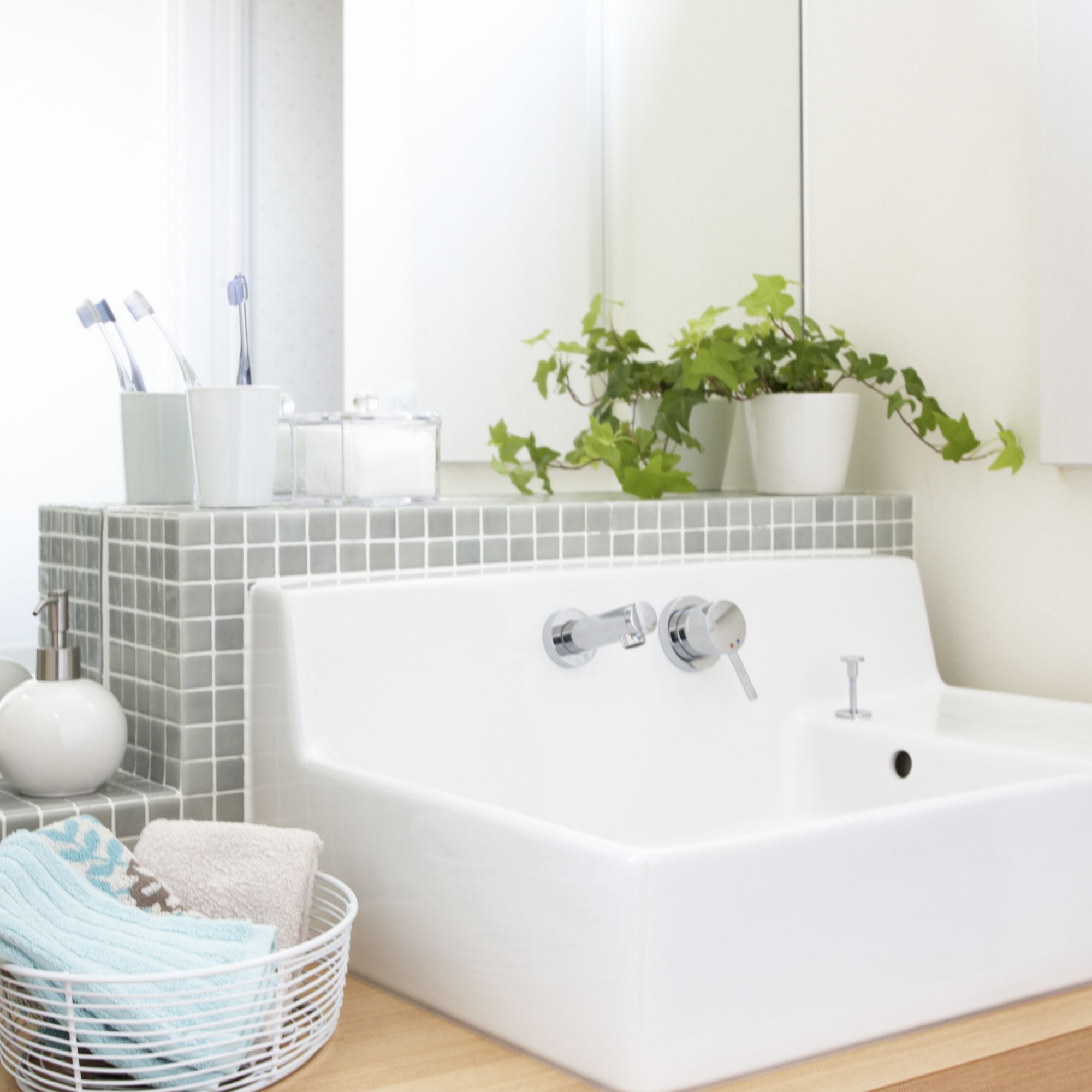 A pot of ivy sits on a bathroom sink