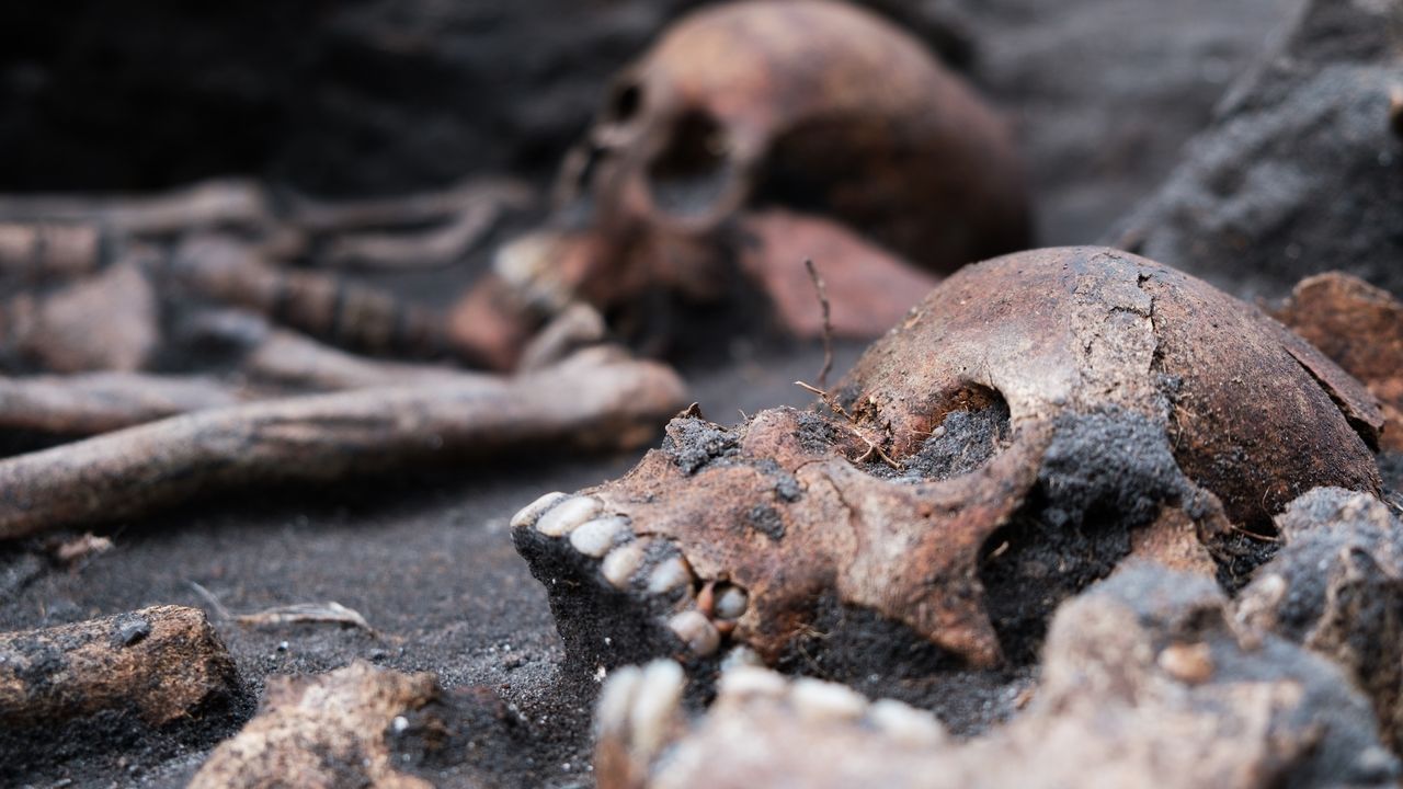 900-year-old burials of Denmark's early Christians discovered in medieval cemetery