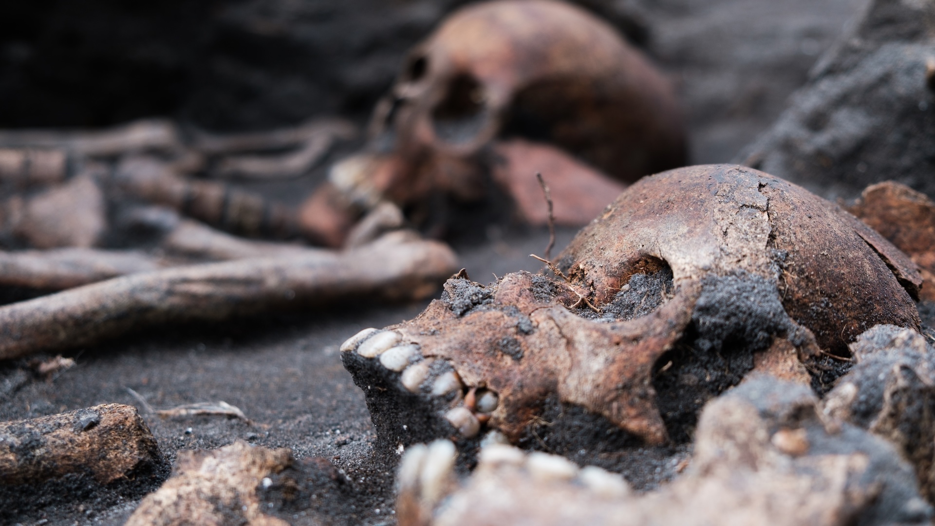 a close-up of skulls in a grave