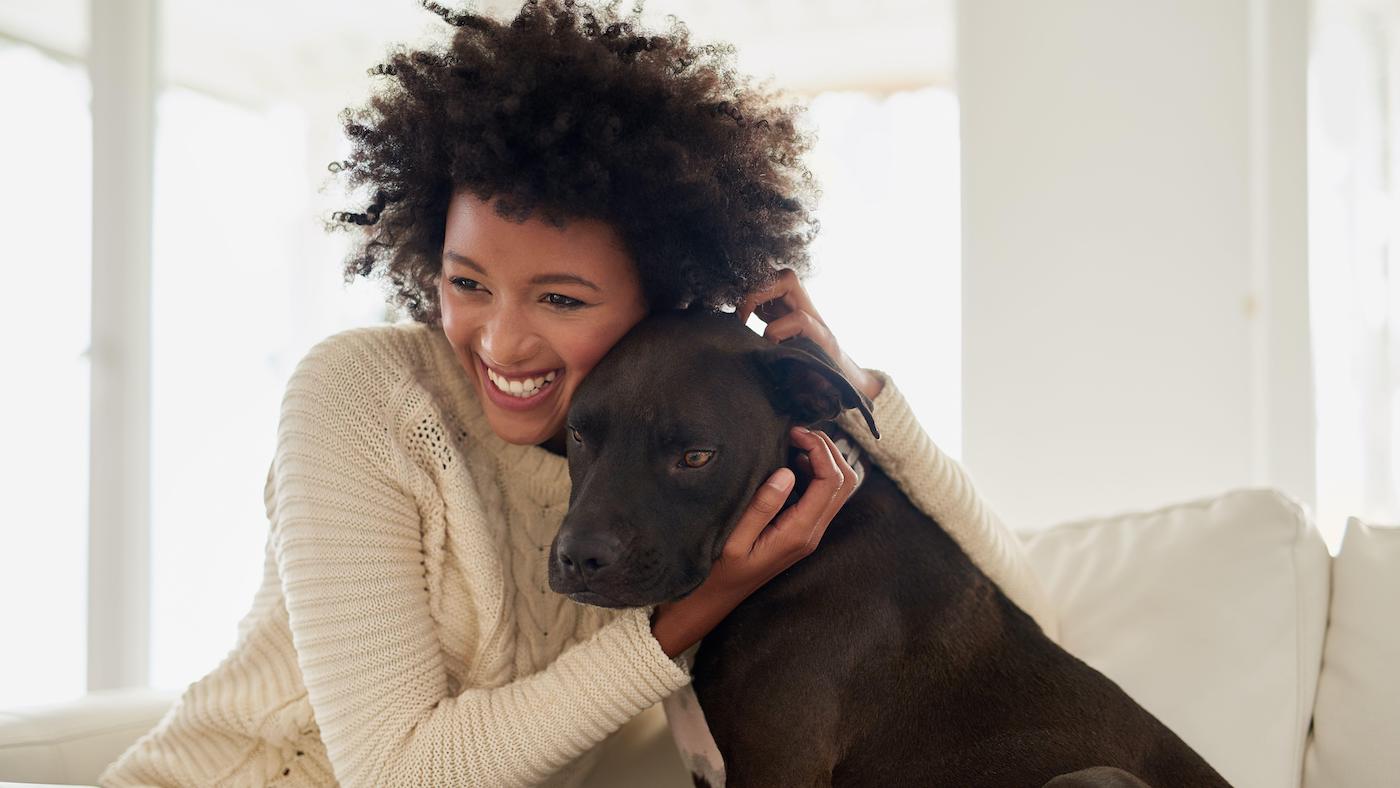 How to remove dog hair from clothes