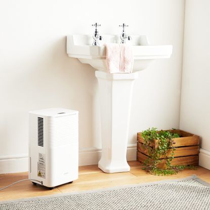 Can you use a dehumidifier in the bathroom? Experts reveal | Ideal Home