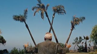 Four palms trees that form the shape of a W in It's A Mad, Mad, Mad, Mad, World