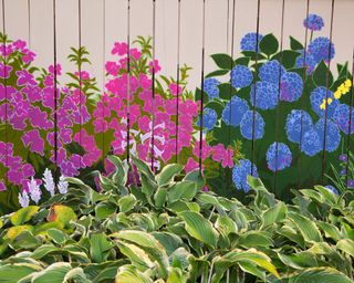 floral mural painted on a garden fence