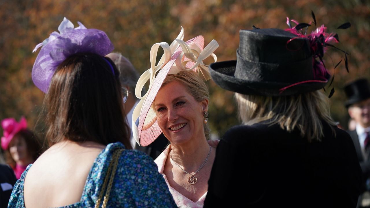 Duchess Sophie&#039;s pink gingham ensemble