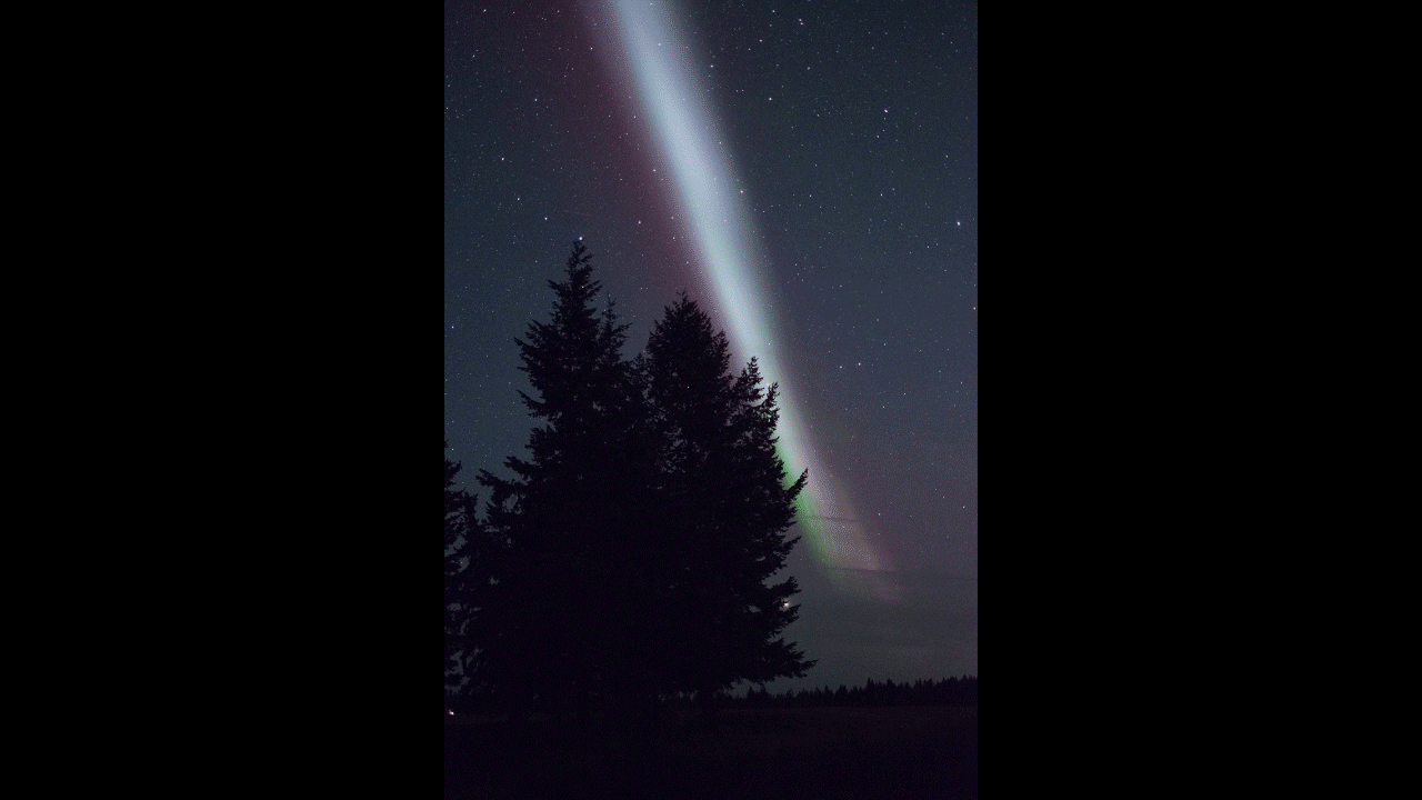 Resultado de imagen de aurora Steve gif