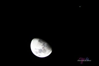 Skywatcher Apple Lily captured this photo of Jupiter near the moon on Jan. 21, 2013 during an extreme close encounter from Trinidad and Tobago.