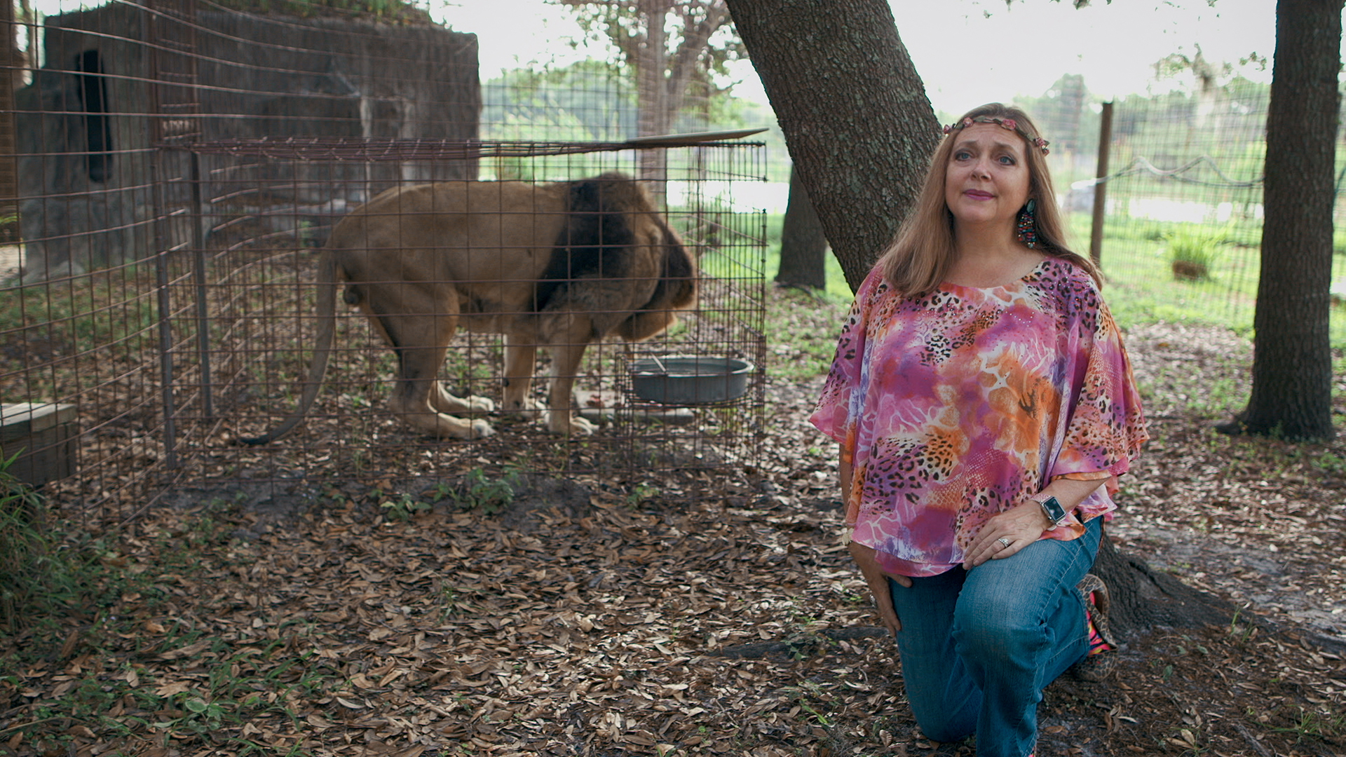 Carole Baskin poses by a lion in an enclosure at Big Cat Rescue.