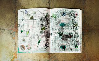 Drawings marry architectural plans and botanical doodles