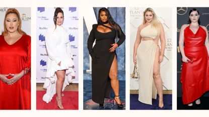 plus size models: Hayley Hasselhoff / Ashley Graham / Precious lee / iskra lawrence / Barbie Ferreria