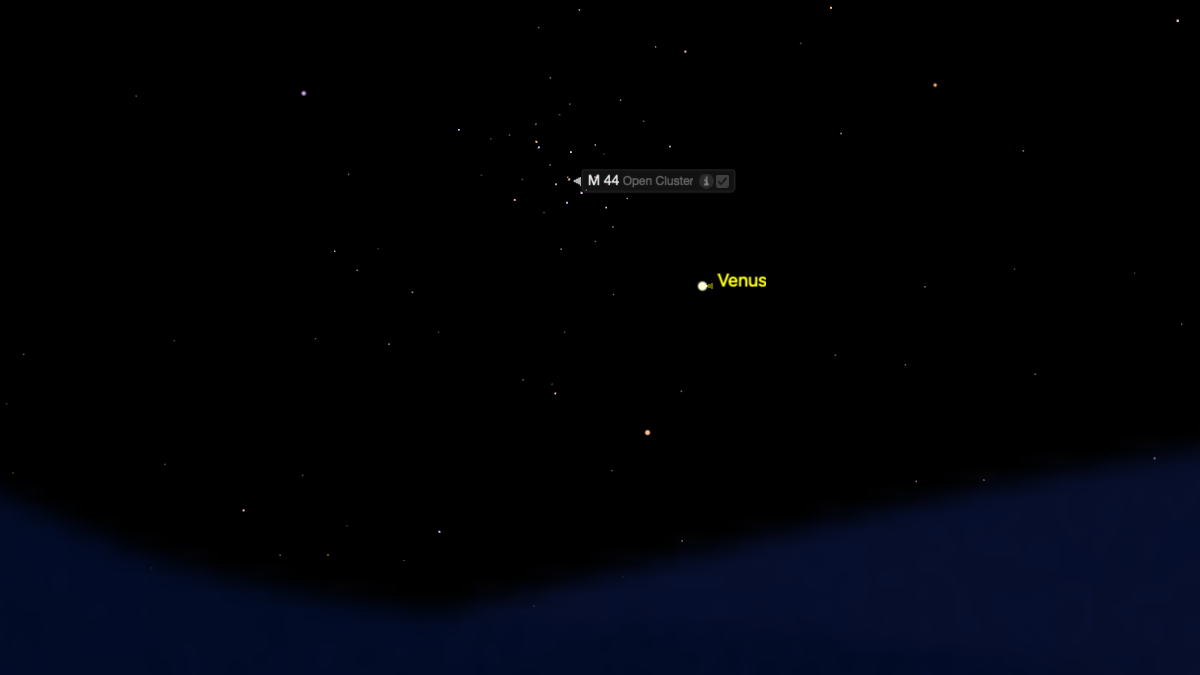 A simulation of the night sky for Sept. 1 showing a star cluster close to the upper left of Venus above the horizon. Both objects are labelled.