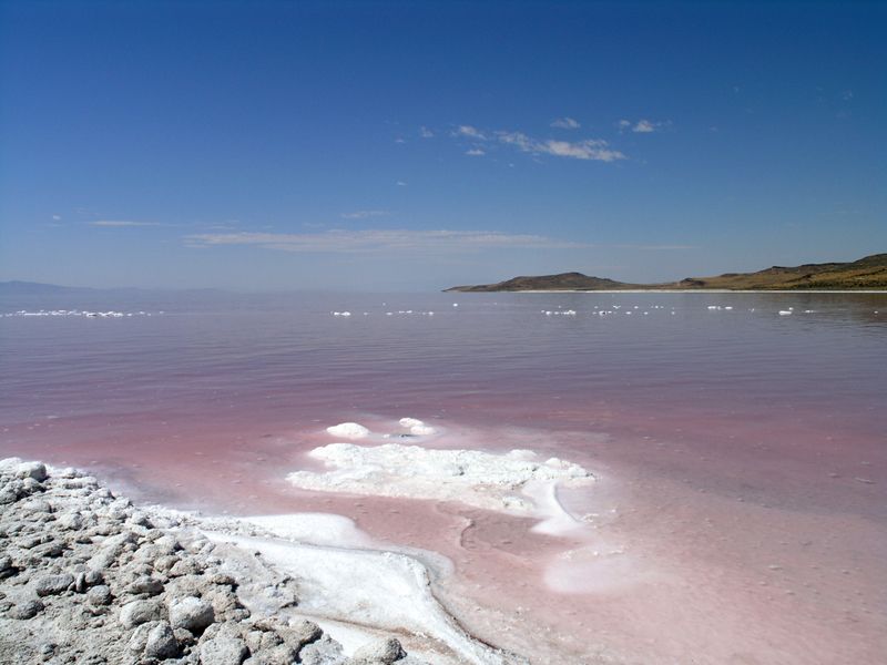 Surprising pink color of Great Salt Lake's northern portion explained