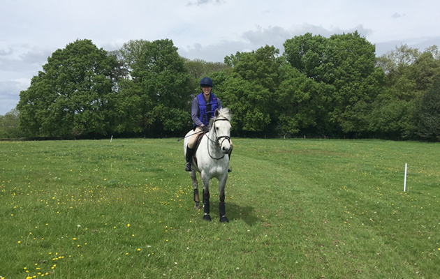 Slades Farm gallop
