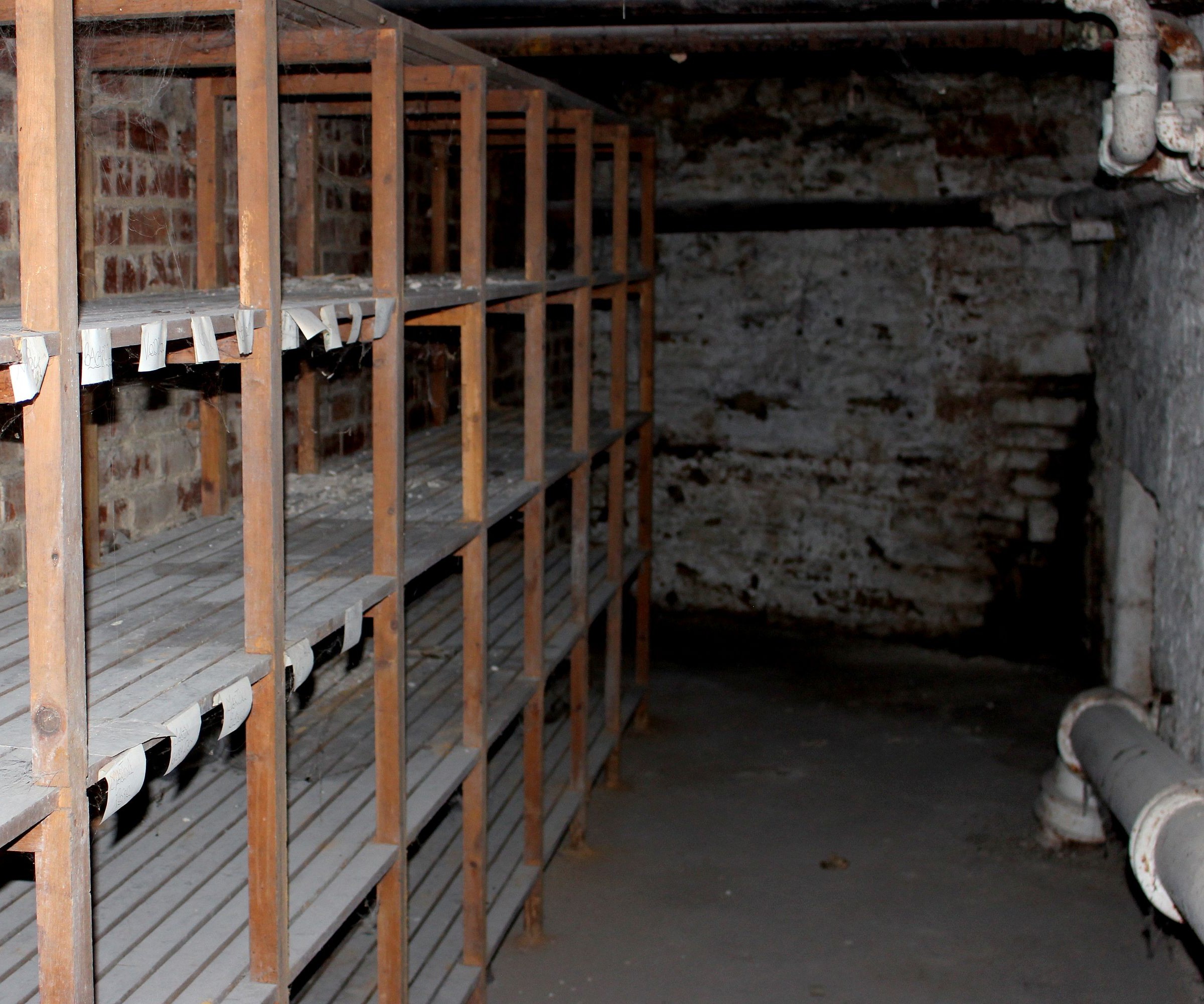 A basement with bare walls, wooden shelving and a concrete floor