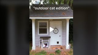This luxury outdoor cathouse will blow your mind