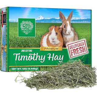 Small Pet Select 2nd Cutting Timothy Hay