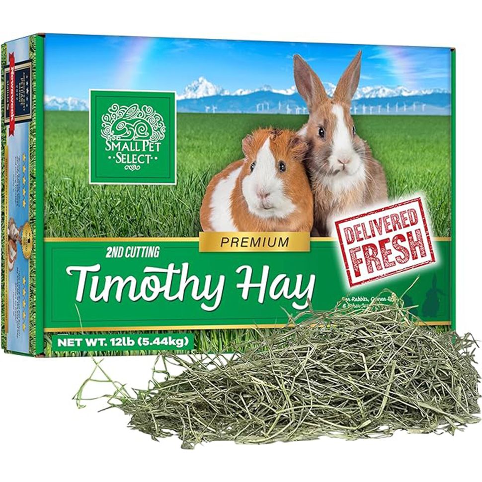 Picture of Best hay for rabbits 2026 that your bunny will love to eat | PetsRadar