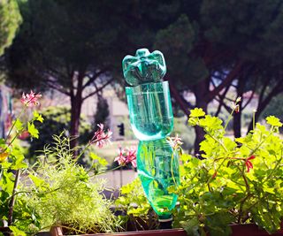 Three pieces of plastic water bottles stacked to form a plant watering reservoir