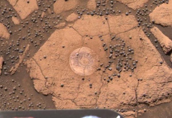 Mushrooms on Mars? 5 unproven claims that alien life exists