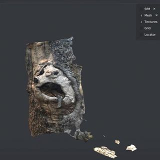 Best 3D scanning software; a render of a log