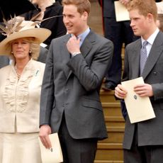 Princess Anne, Camilla, Duchess of Cornwall, Prince William and Prince Harry stand on the steps of St. George's Chapel, Windsor, following the Service of Thanksgiving for the Queen's 80th birthday